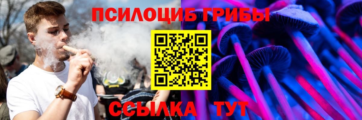 Ревда  Псилоцибиновые грибы мицелий  Вход с VPN 