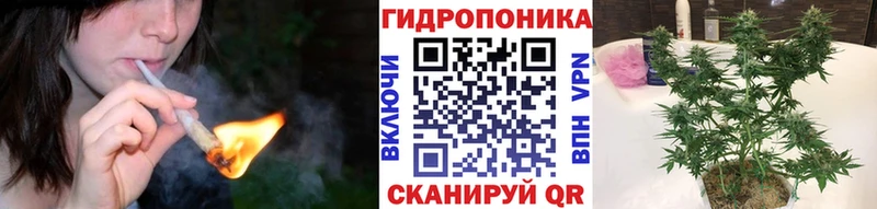 Канабис Bruce Banner  ссылка на мегу   Ревда 
